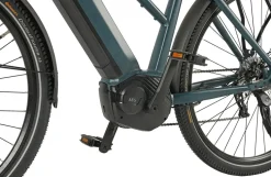 Prophete E-Bike Entdecker 4.8 RH50