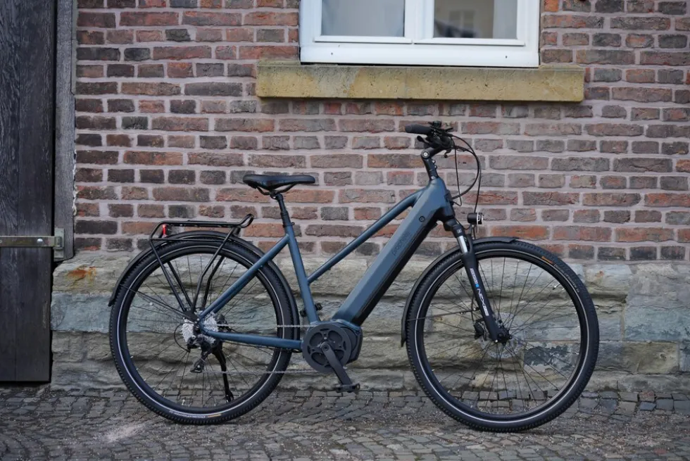 Prophete E-Bike Entdecker 4.8 RH50