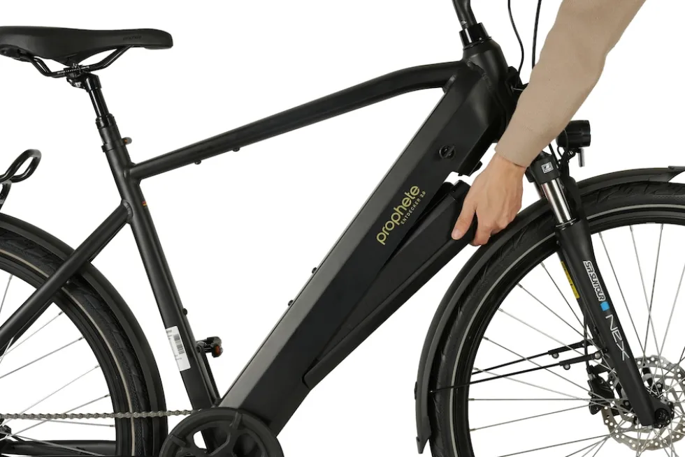Prophete E-Bike Entdecker 2.0 Trekking 28" Diamant