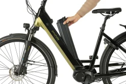 Prophete E-Bike Geniesser 6.0 City 28