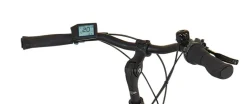 Prophete E-Bike Geniesser 3.8 RH48
