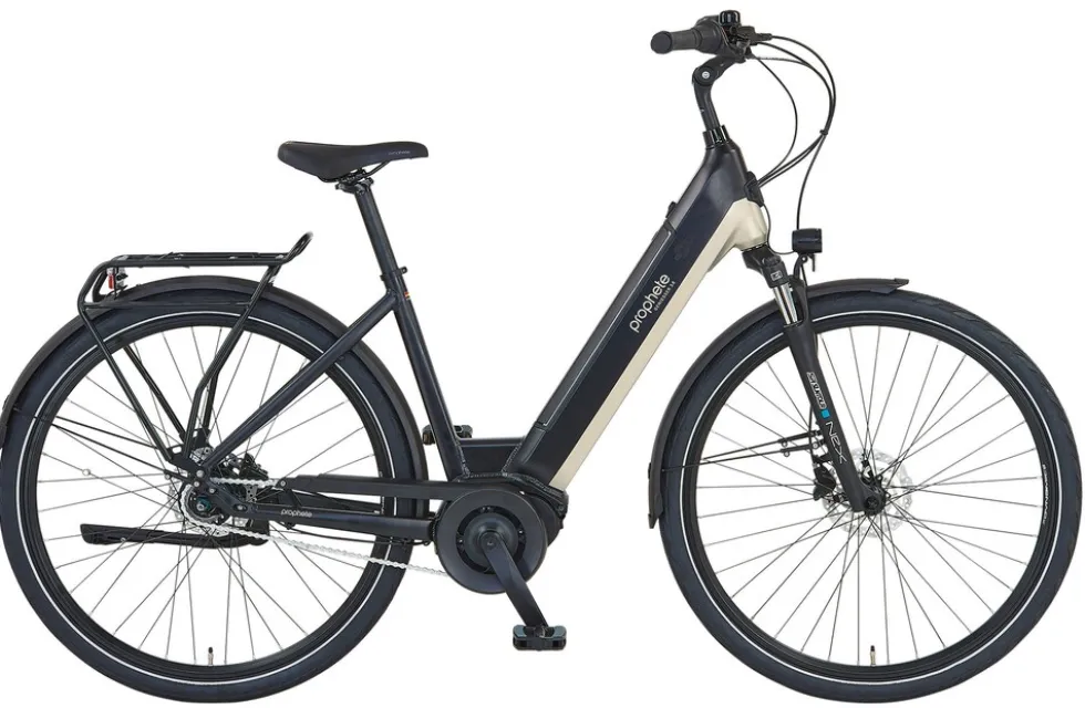 Prophete E-Bike Geniesser 3.8 RH48