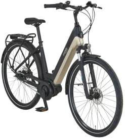 Prophete E-Bike Geniesser 3.8 RH48