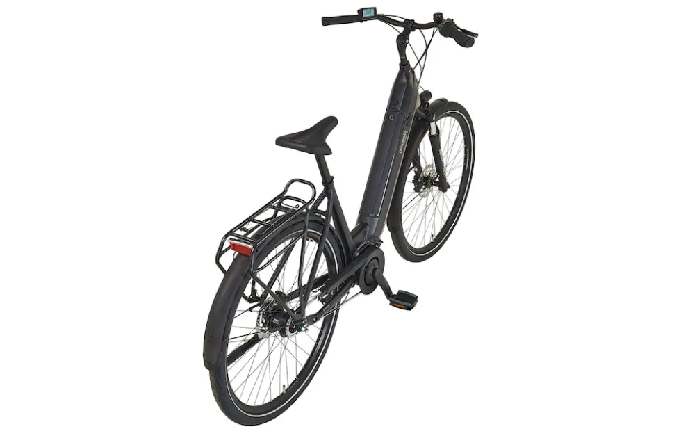 Prophete E-Bike Geniesser 3.8 RH48