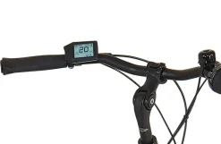 Prophete E-Bike Geniesser 3.8 RH48