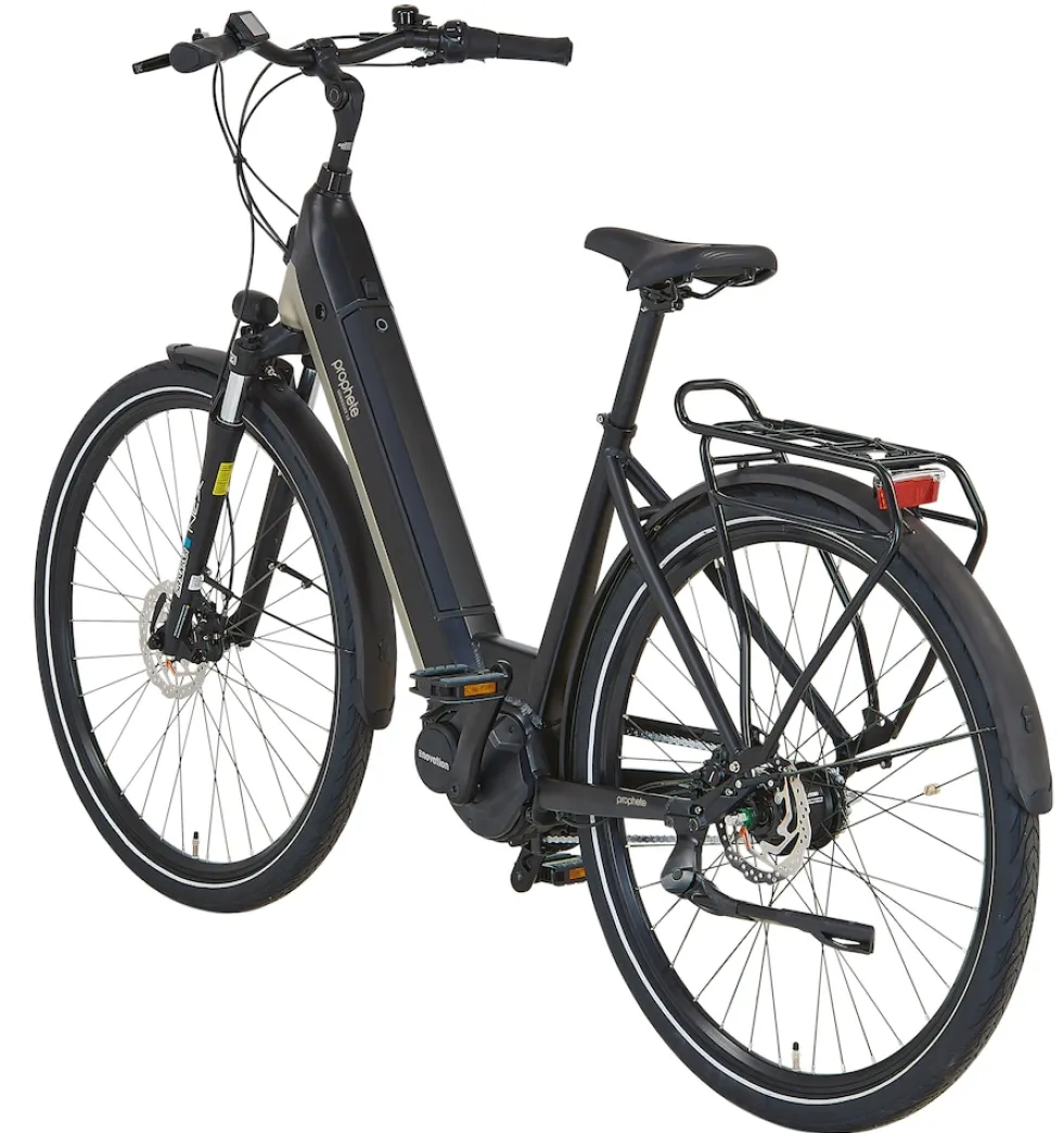 Prophete E-Bike Geniesser 3.8 RH48