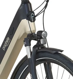 Prophete E-Bike Geniesser 3.8 RH48