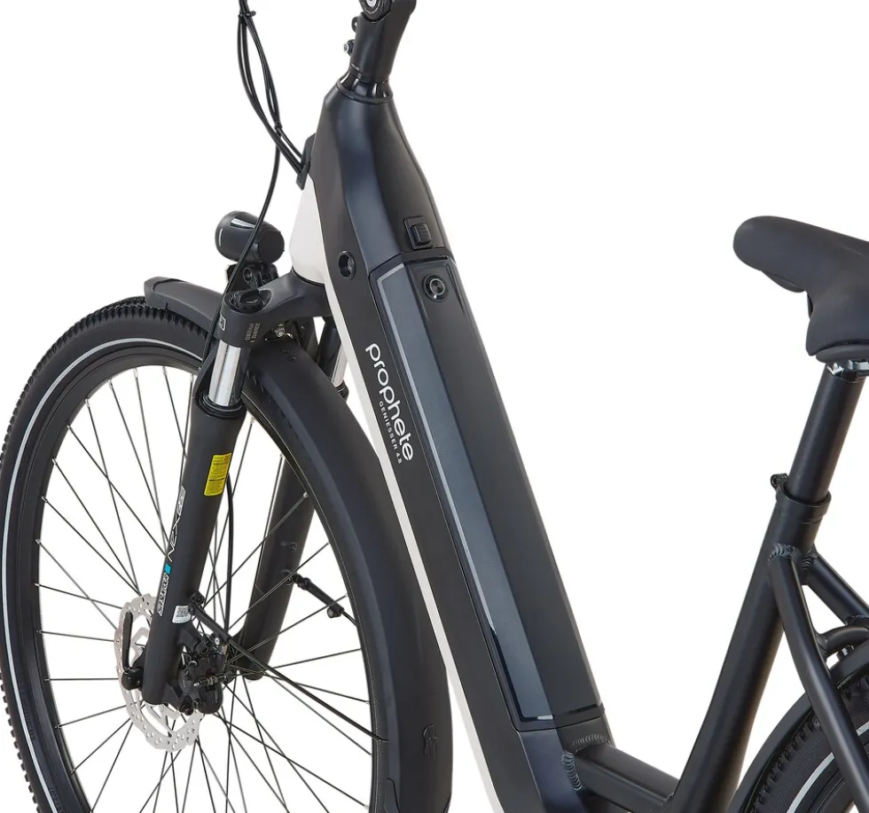 Prophete E-Bike Geniesser 4.8 RH48