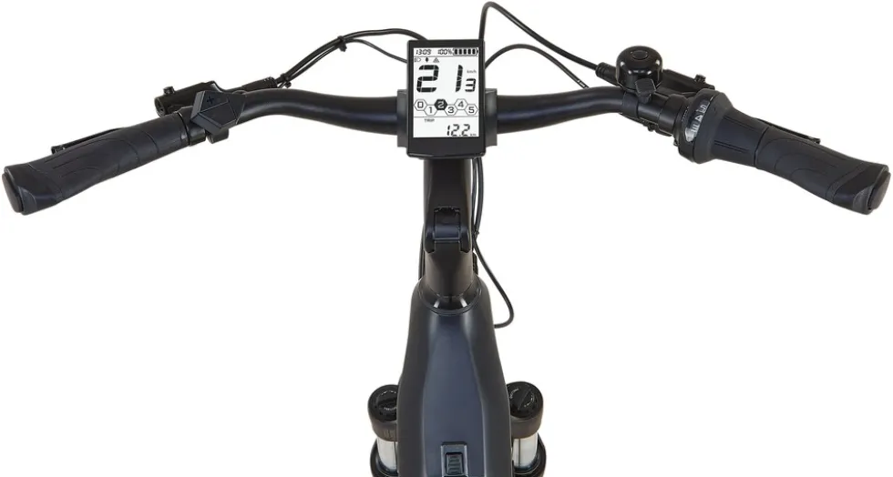 Prophete E-Bike Geniesser 4.8 RH48
