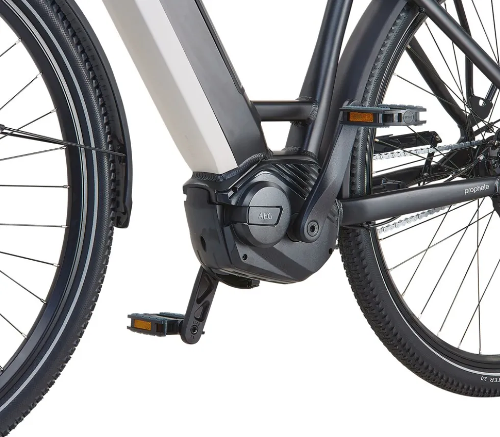 Prophete E-Bike Geniesser 4.8 RH48