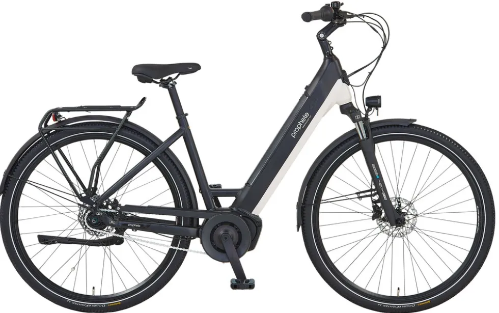 Prophete E-Bike Geniesser 4.8 RH48