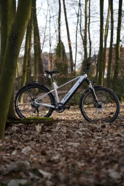 Prophete E-Bike Stack 1.8 RH52