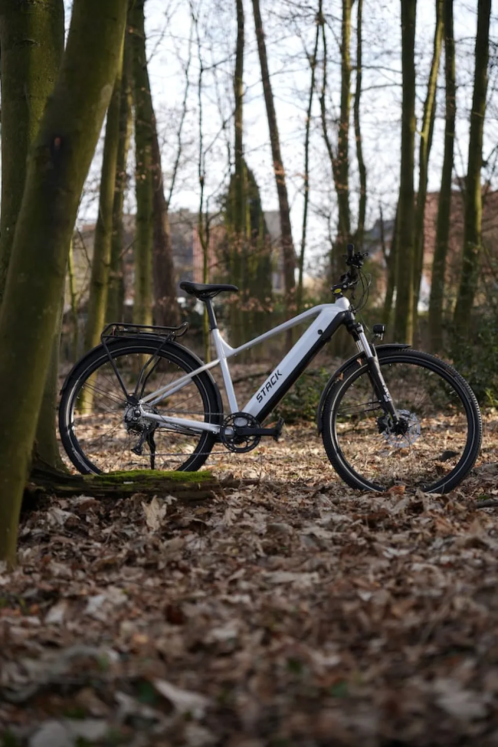 Prophete E-Bike Stack 1.8 RH52