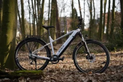 Prophete E-Bike Stack 1.8 RH52
