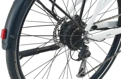 Prophete E-Bike Urbanicer 2.0 28" Diamant RH53
