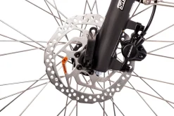 Quantum Sport Man 10 Gang Bafang Mittelmotor Scheibenbremsen