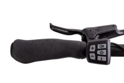 Quantum Sport Man 10 Gang Bafang Mittelmotor Scheibenbremsen