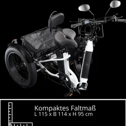 Remington R100 E Bike Elektro Dreirad 20 Zoll Elektrodreirad mit 2 Akkus bis 120 km Pedelec City mit tiefem Einstieg klappbar