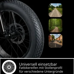 Remington R100 E Bike Elektro Dreirad 20 Zoll Elektrodreirad mit 2 Akkus bis 120 km Pedelec City mit tiefem Einstieg klappbar