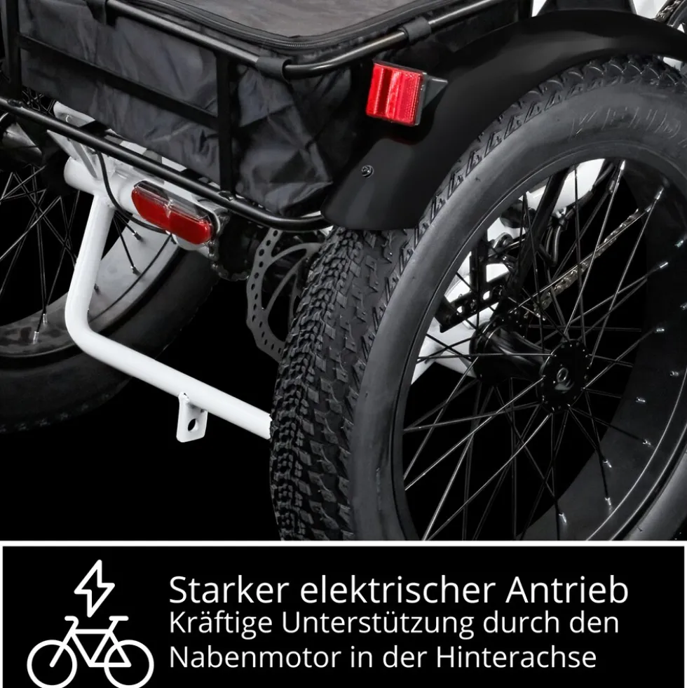 Remington R100 E Bike Elektro Dreirad 20 Zoll Elektrodreirad mit 2 Akkus bis 120 km Pedelec City mit tiefem Einstieg klappbar
