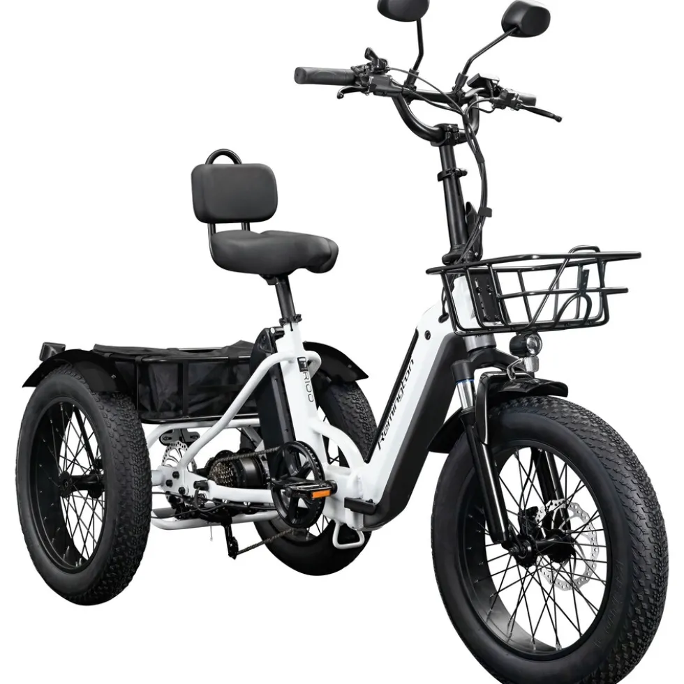 Remington R100 E Bike Elektro Dreirad 20 Zoll Elektrodreirad mit 2 Akkus bis 120 km Pedelec City mit tiefem Einstieg klappbar