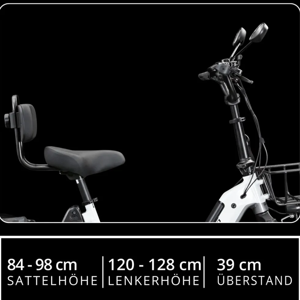 Remington R100 E Bike Elektro Dreirad 20 Zoll Elektrodreirad mit 2 Akkus bis 120 km Pedelec City mit tiefem Einstieg klappbar