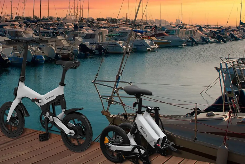 SachsenRAD E-Faltrad F12 Klapprad Ebike Elektrofahrrad Titansilber 16 Zoll