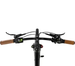 SachsenRAD E-SUV CityBike C5R Centro