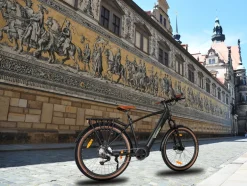 SachsenRAD E-SUV S8 Centro E-Bike für Stadt, Trekking, Gelände, hohe Reichweite