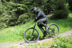 SachsenRAD M5 Centro EMTB 29