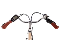 SAXXX CLASSIC PLUS 2.0 E-Bike mit Rücktrittbremse