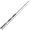 Shimano Beastmaster AX Pilk 2,40m 150-300g 2pc Pilkrute