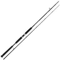 Shimano Beastmaster AX Pilk 2,40m 150-300g 2pc Pilkrute