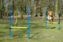 3-teiliges Agility Sprung-Set, mit 2 Hürden und Sprungreif