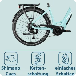 Tretwerk Amber E Bike Damen 28 Zoll Elektrofahrrad 155 - 185 cm Hollandrad Tiefeinsteiger mit 9 Gang Schaltung