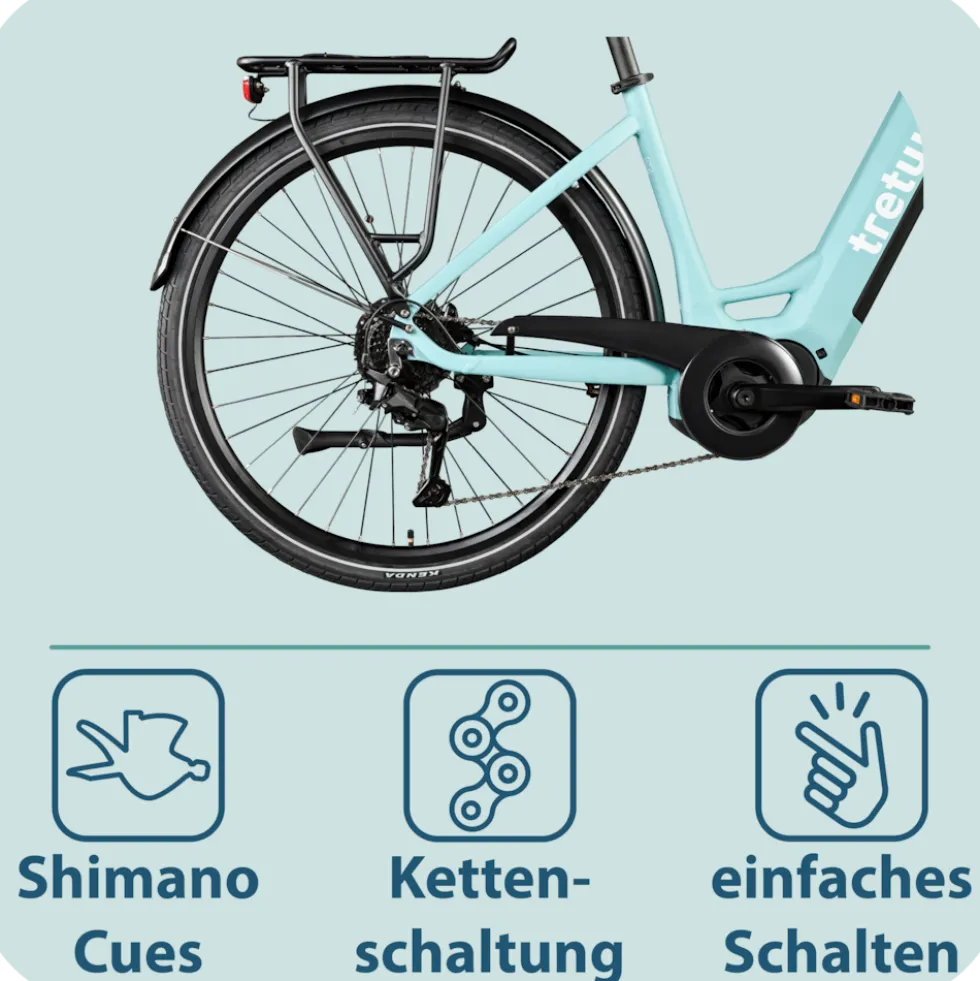 Tretwerk Amber E Bike Damen 28 Zoll Elektrofahrrad 155 - 185 cm Hollandrad Tiefeinsteiger mit 9 Gang Schaltung