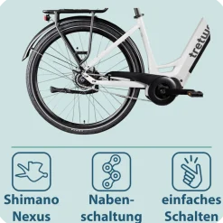 Tretwerk Amber Nexus E Bike Damen 28 Zoll Elektrofahrrad 155 - 185 cm Hollandrad Tiefeinsteiger mit 8 Gang Nabenschaltung