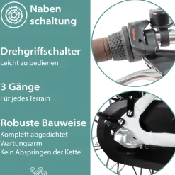 Tretwerk Sophia E Bike Damen Herren 28 Zoll Pedelec 3 Gang Elektrofahrrad mit 536 Wh Elektro Damenfahrrad Citybike mit Bluetooth und App