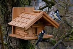 Vogelhaus kiefer | versch. Ausführungen