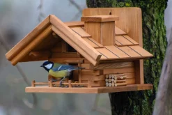 Vogelhaus kiefer | versch. Ausführungen