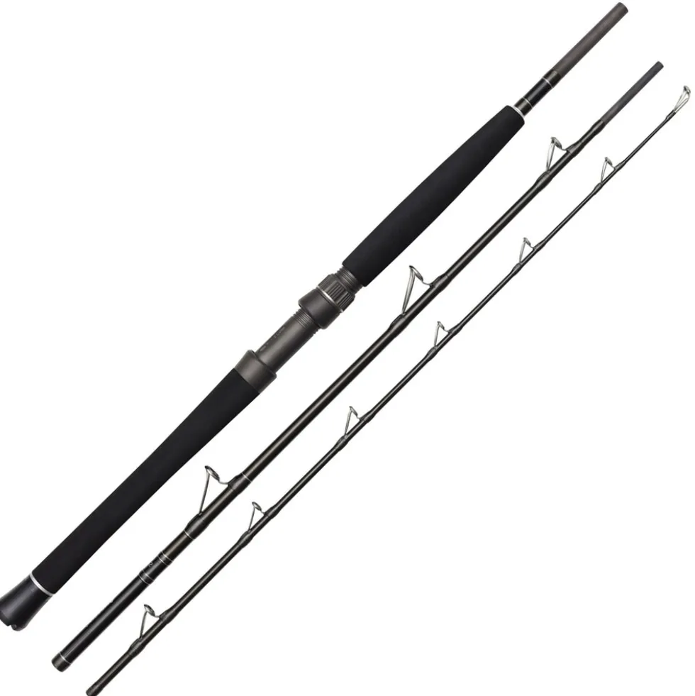 Westin W2 Boat 6'6"/195cm H 12-20Lbs/100-250g 3Sec Boots-Reiserute