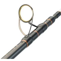 WFT Adventure Deep Water 2,15m, 50lbs 200-1200g Meeresrute