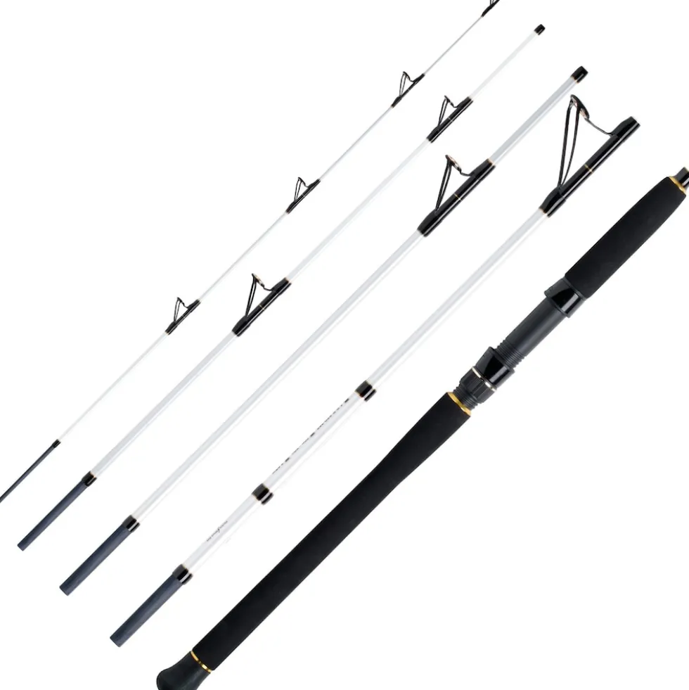 WFT Köhler Jigger Salzmeister 2,65m 25-120g Reiserute 5-Teilig