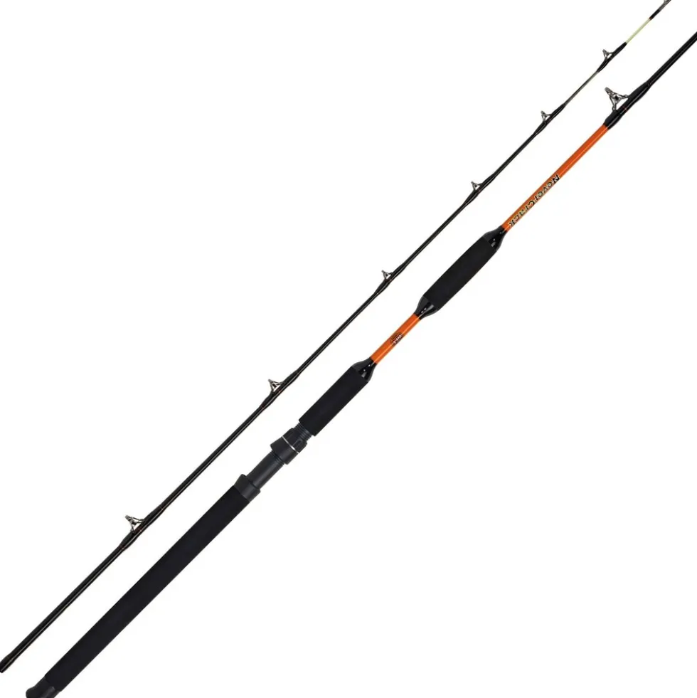 WFT Never Crack Bank Cat II 3,15m 200-1000g 2 Teile Wallerrute