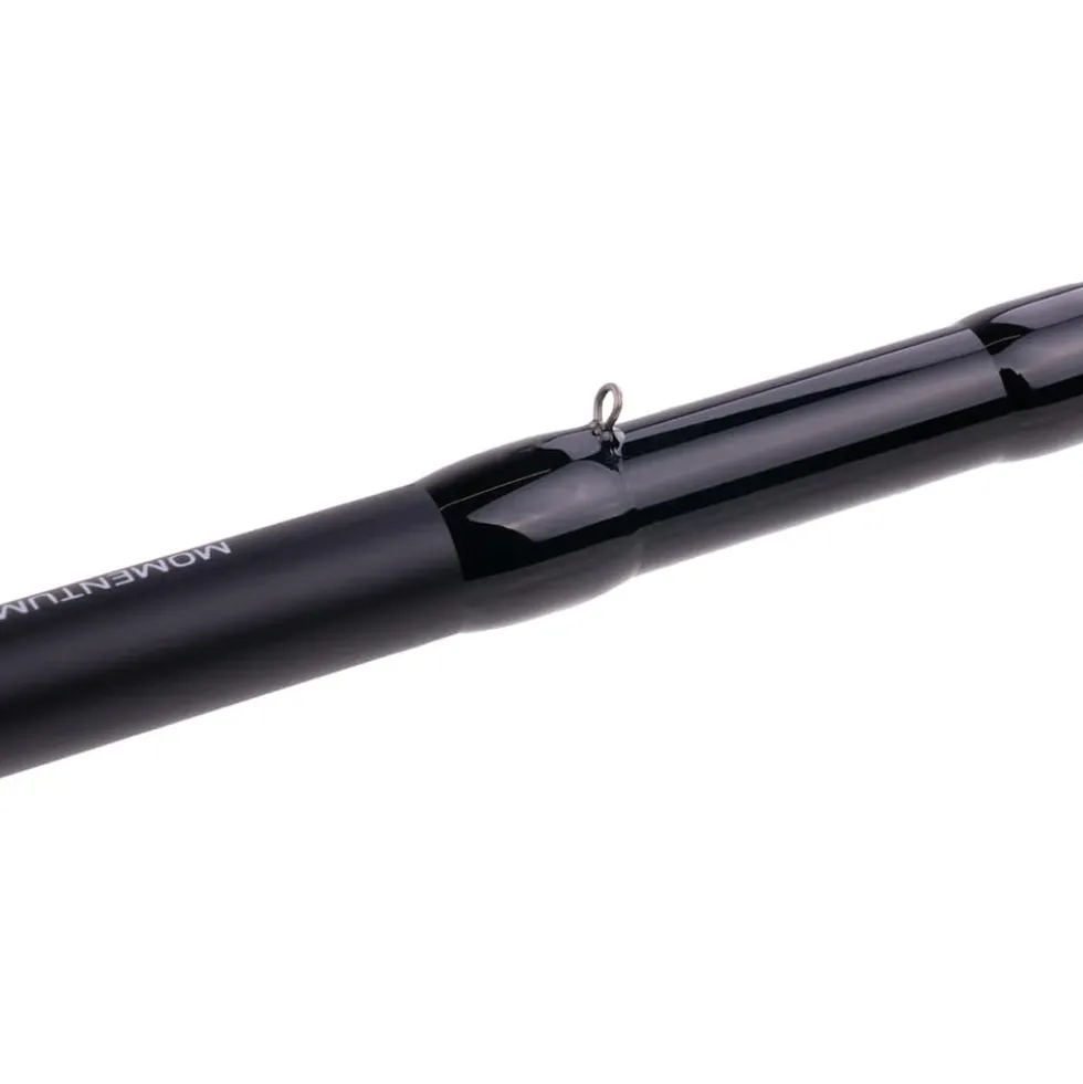 Zeck Momentum Cast 2,10m 40g Baitcastrute