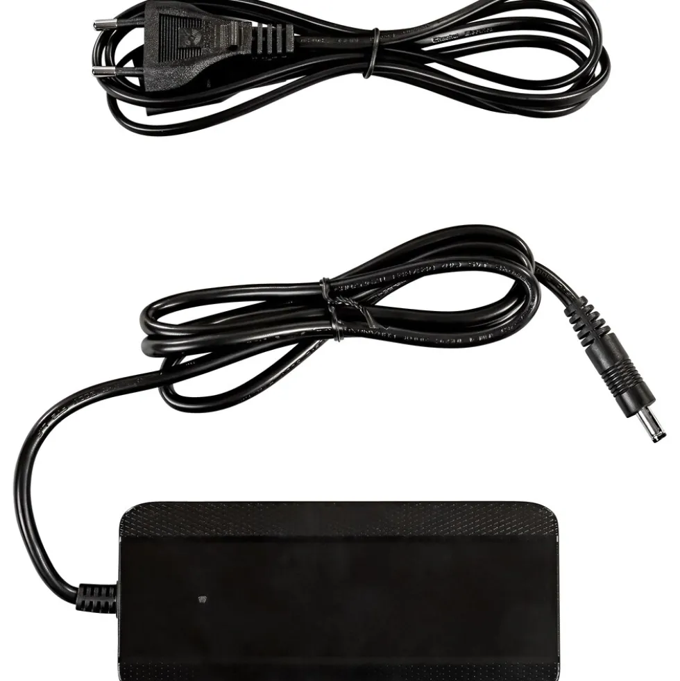 Zündapp BC257360020 Ladegerät 2A 100 - 240V für Lithium Ionen Akku Batterieladegrät Charger inkl. Netzkabel