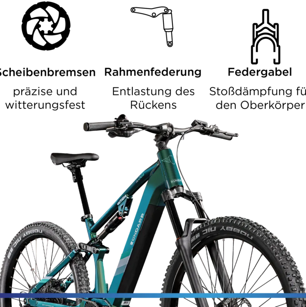 Zündapp X1000 E Bike Mountainbike Fully 29 Zoll 10 Gänge Pedelec Herren 165 - 190 cm Elektrofahrrad 730Wh