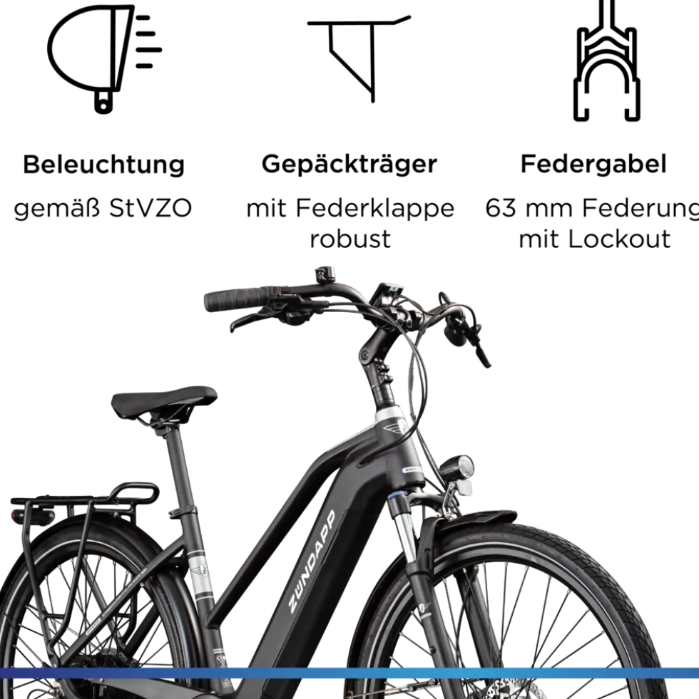 Zündapp Z810 E Bike Damen Trekkingrad ab 165 cm Elektrofahrrad 550 Wh Pedelec Trekking Rad Fahrrad mit 8 Gang und Beleuchtung StVZO