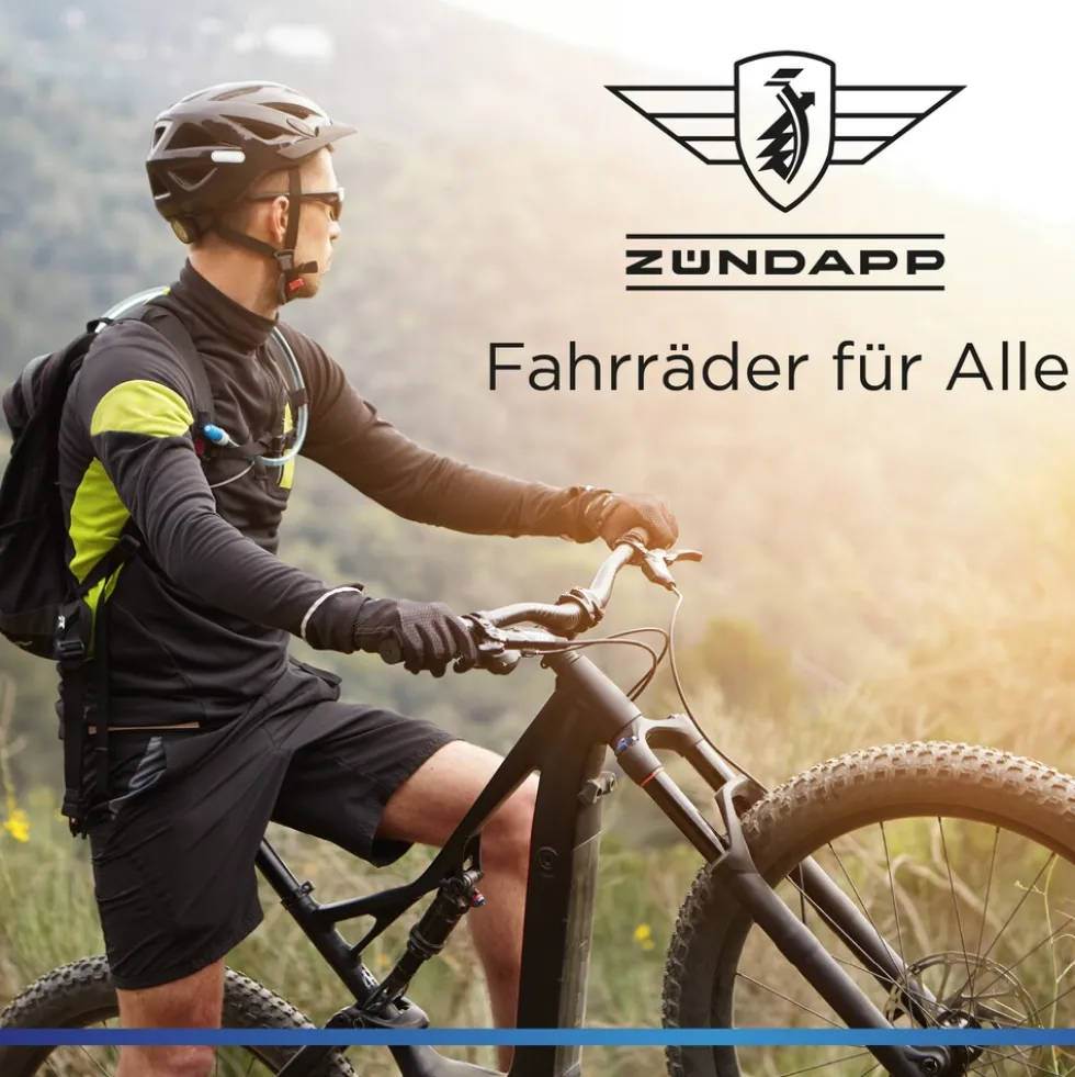 Zündapp Z517 E Bike 28 Zoll Pedelec Hollandrad E Fahrrad Damen 155 - 190 cm mit 7 Gang Nabenschaltung Rücktritt Citybike Nabenmotor